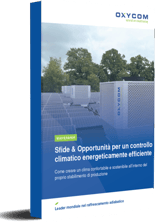 whitepaper_IT_small