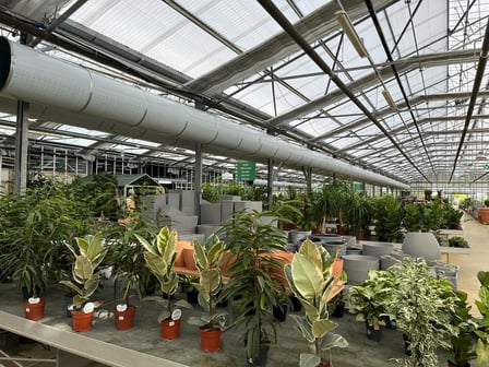 Greenhouse