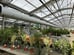 Greenhouse