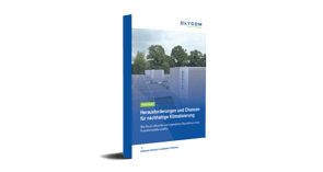 Herausforderungen und chancen_downloadpage