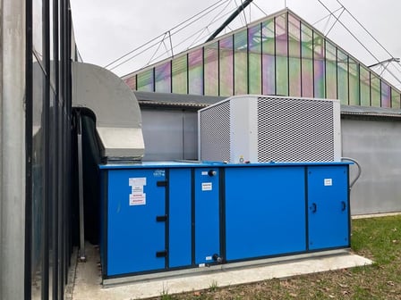 Cannabis kassenteelt