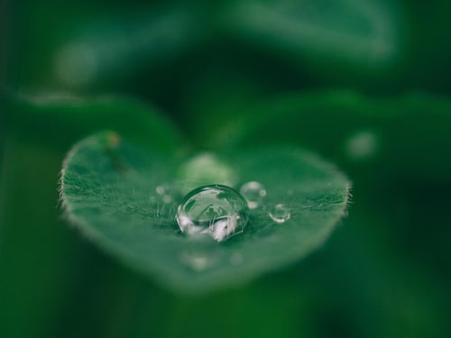 Utiliser de l’eau pour économiser de l’eau