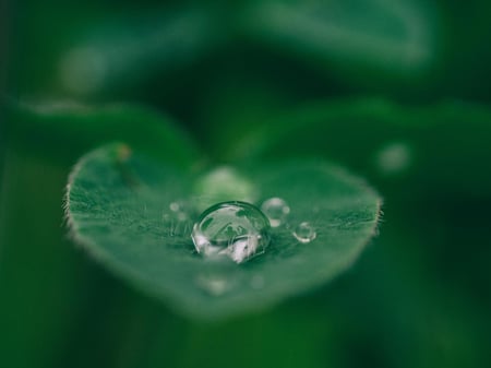 Use water to save water: Oxycom sustainable climate control